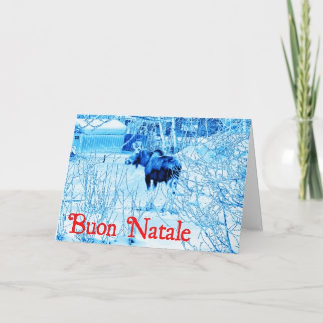 Tarjeta Festiva Buon Natale - Moose urbano (Anverso)