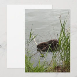 Tarjeta Festiva Busy Beaver