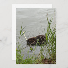 Tarjeta Festiva Busy Beaver