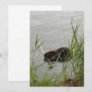 Tarjeta Festiva Busy Beaver