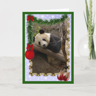 Tarjeta Festiva c-panda-21-c