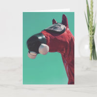 caballo de guerra fría