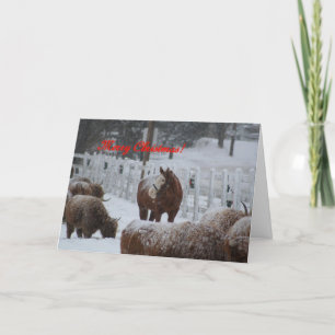 Tarjeta Festiva ¡Caballo de la nieve, Felices Navidad!