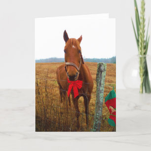 Tarjeta Festiva Caballo de navidades