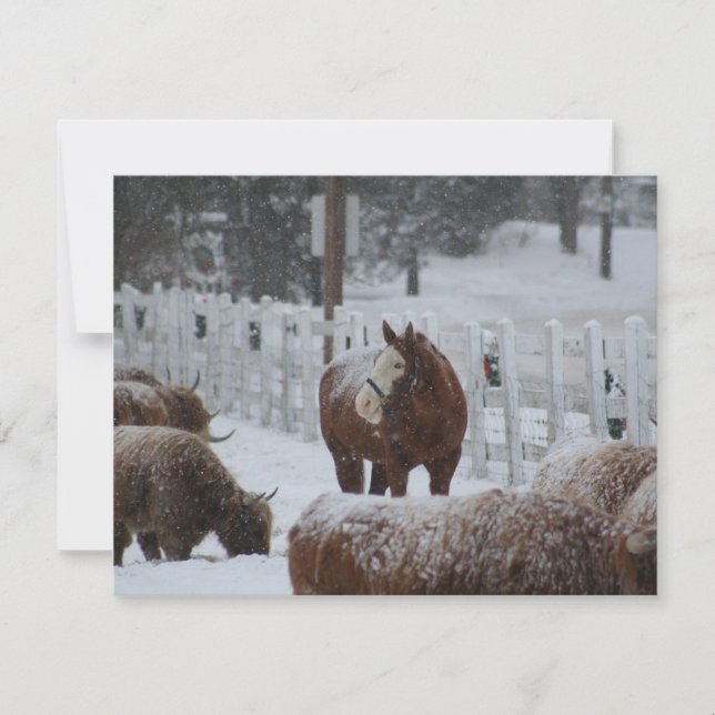 Tarjeta Festiva Caballo de nieve, ¡Feliz Navidad! (Anverso)