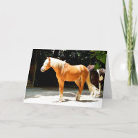 Caballo de Palomino