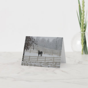 Tarjeta Festiva Caballo solitario