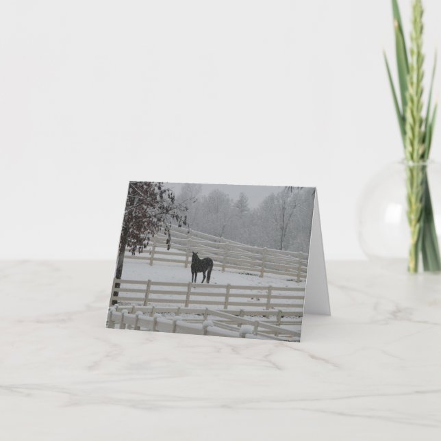 Tarjeta Festiva Caballo solitario (Anverso)