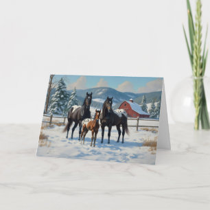 Tarjeta Festiva Caballos Appaloosa negros en una granja en inviern