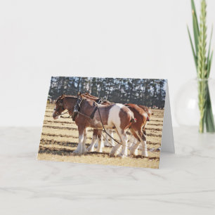 Tarjeta Festiva Caballos de tiro arando en yunta Gracias