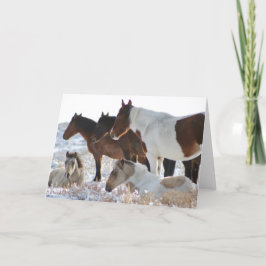 Tarjeta Festiva CABALLOS SALVAJES personalizados DE PINTOS DE UTAH