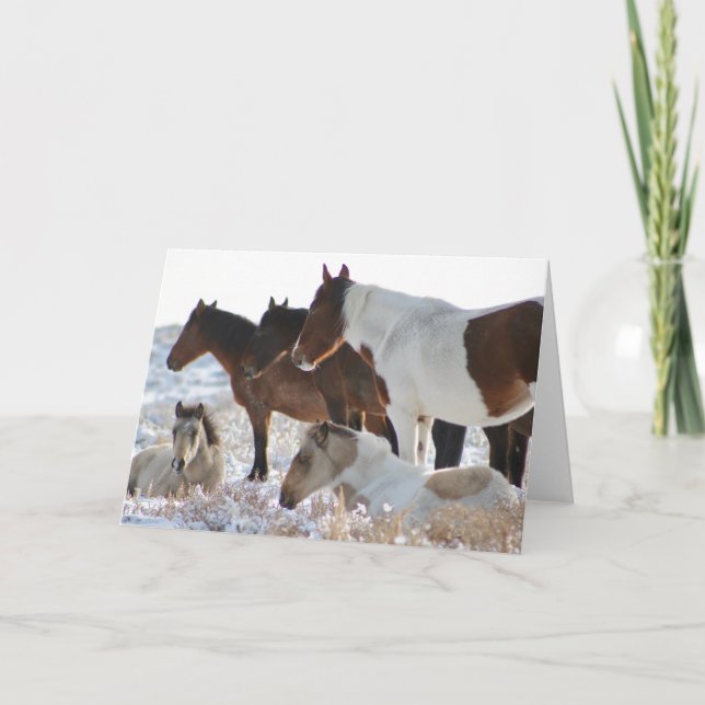Tarjeta Festiva CABALLOS SALVAJES personalizados DE PINTOS DE UTAH (Anverso)