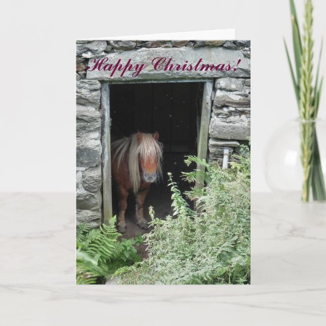 Tarjeta Festiva CABALLOS Y PONES DE navidades (Anverso)