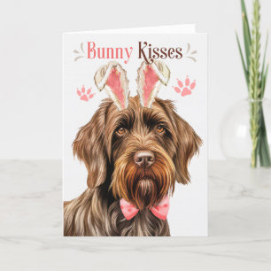 Tarjeta Festiva Cableado señala a Griffon Bunny Ears por Pascua