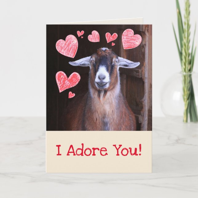 Tarjeta Festiva Cabra Con Un El día de San Valentín Aplastante (Anverso)