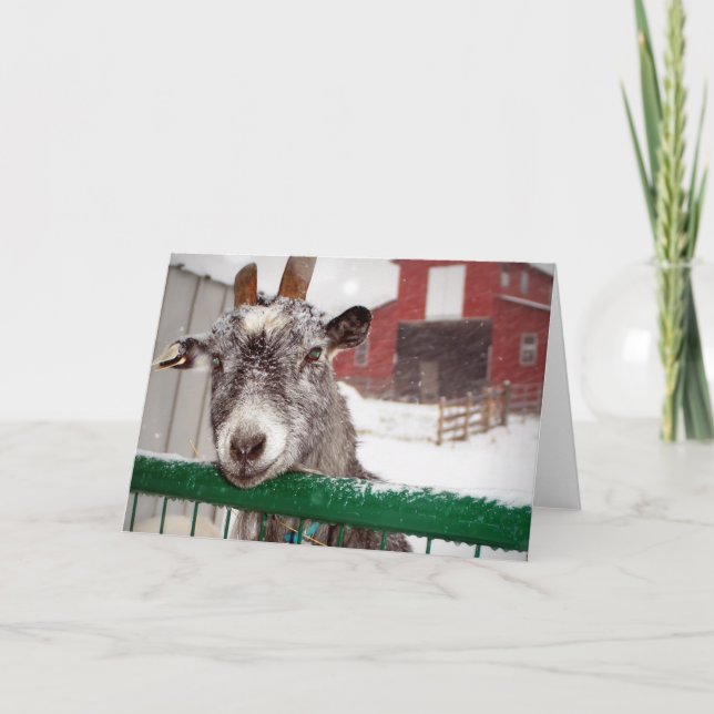 Tarjeta Festiva Cabra de Yule (Anverso)