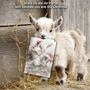 Tarjeta Festiva Cabras bebé ricas - Nieves bebés 5 Navidades