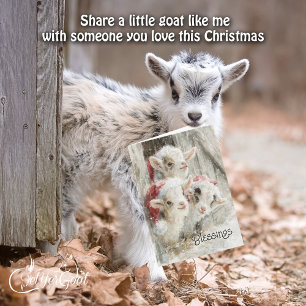 Tarjeta Festiva Cabras bebé ricas - Nieves bebés 9 Navidades