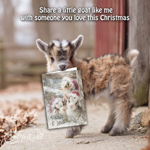 Tarjeta Festiva Cabras de bebé con leche - Nieve de 10 Navidades