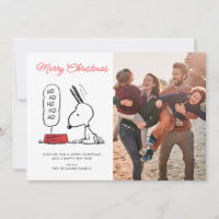 Cacahuetes | Snoopy Ho Ho Ho Plato de Comida