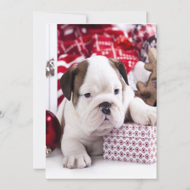 Tarjeta Festiva Cachorro adorable Bulldog Inglés | Divertida Navid (Anverso)