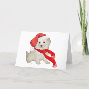 Tarjeta Festiva Cachorro ayudante de Santa Poodle / Bichon Mix