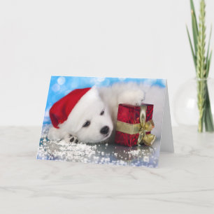 Tarjeta Festiva Cachorro Blanco Con Un Regalo En Papas