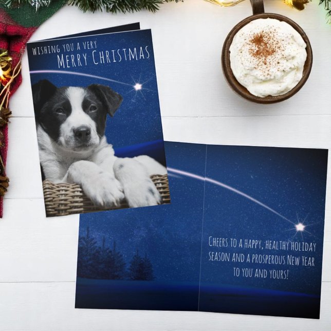 Tarjeta Festiva Cachorro Blanco Negro Dormilón Bonito Cielo Estrel (cover and inside template text Christmas greeting card)