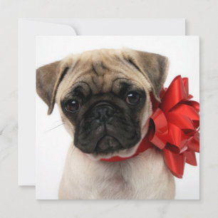 Tarjeta Festiva Cachorro de cachorro envuelto en una reverencia de