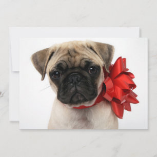 Tarjeta Festiva Cachorro de cachorro envuelto en una reverencia de