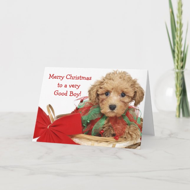 Tarjeta Festiva cachorro de perro caniche sentado en la canasta de (Anverso)
