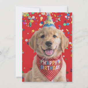 Tarjeta Festiva cachorro de retriever dorado deseando feliz cumple