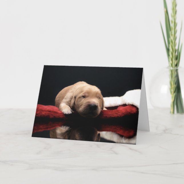 Tarjeta Festiva Cachorro dorado (Anverso)