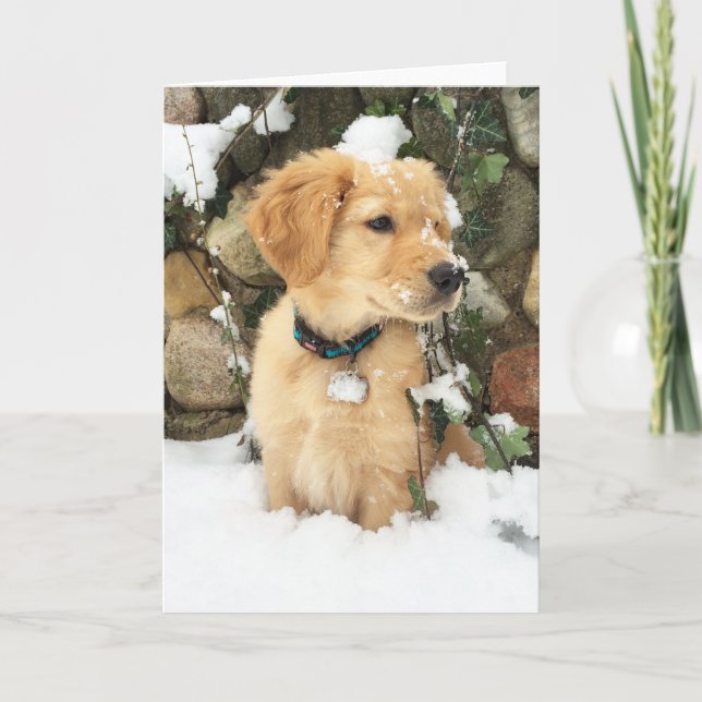 Tarjeta Festiva cachorro en la nieve | cachorro dorado (Anverso)