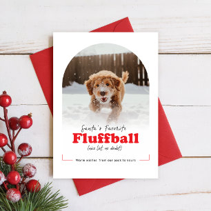 Tarjeta Festiva Cachorro Lindo Foto Divertida de Mascota Traviesa 