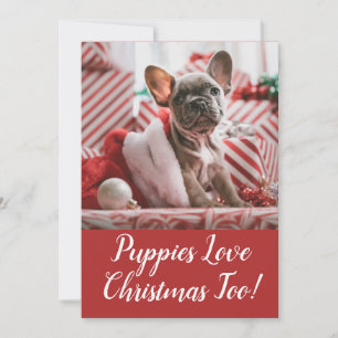 Tarjeta Festiva Cachorros aman a Navidades Bulldog francés