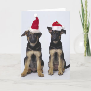 Tarjeta Festiva Cachorros con sombreros de santa