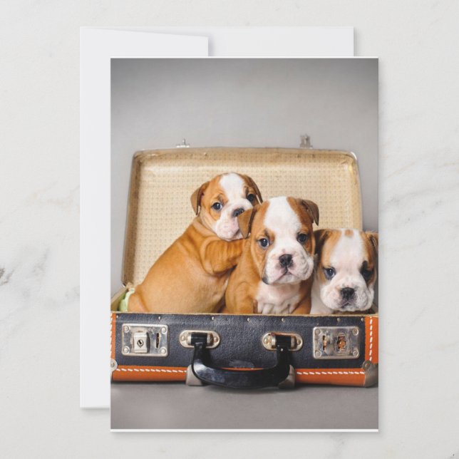 Tarjeta Festiva Cachorros de Bulldog espléndidos | Perro Lover (Anverso)