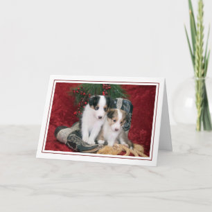 Tarjeta Festiva Cachorros de ovino de Shetland Holiday