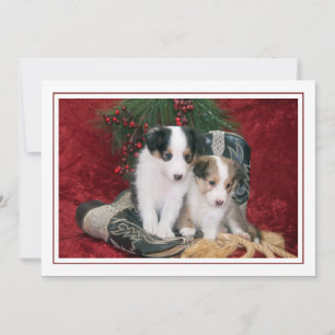 Tarjeta Festiva Cachorros de ovino de Shetland Holiday