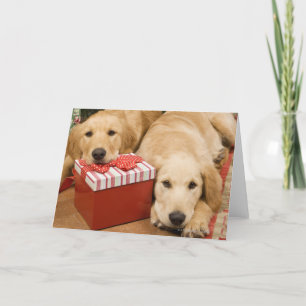 Tarjeta Festiva Cachorros de recuperación de oro con regalo de nav