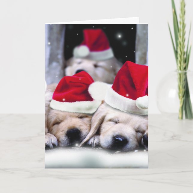 Tarjeta Festiva Cachorros labradores con gorras de x-mas (Anverso)