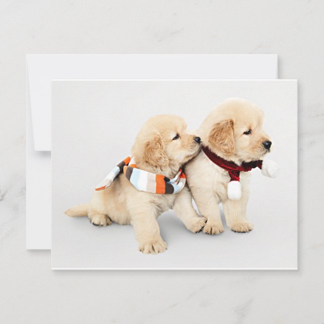 Tarjeta Festiva Cachorros recuperadores de oro (Anverso)