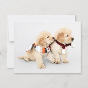 Tarjeta Festiva Cachorros recuperadores de oro