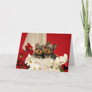 Tarjeta Festiva Cachorros Yorkie con Poinsettias