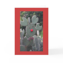 Cactus de Rudolph