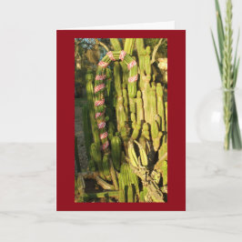 Tarjeta Festiva Cactus del bastón de caramelo