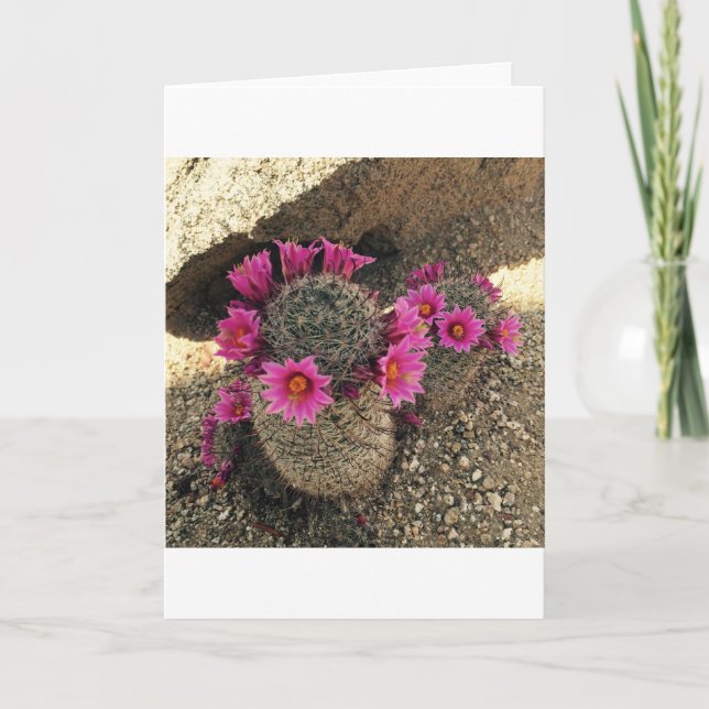 Tarjeta Festiva Cactus rosado en la floración (Anverso)