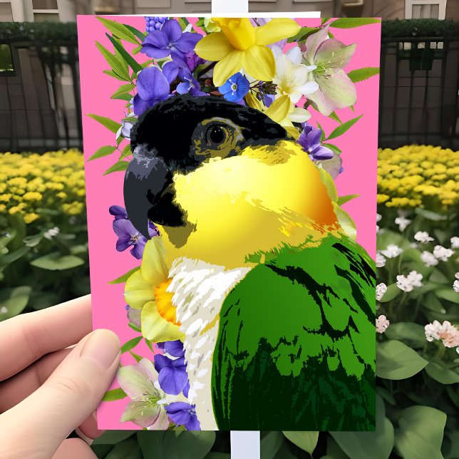 Tarjeta Festiva Caique Parrot Bonito Primavera Mascota Floral Amor (Caique parrot Spring floral all occasion greeting card. Pretty for birthday or Mother's Day.)