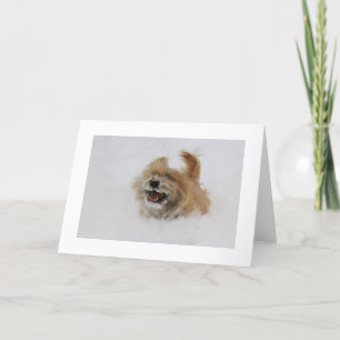 Tarjeta Festiva Cairn Pgramn